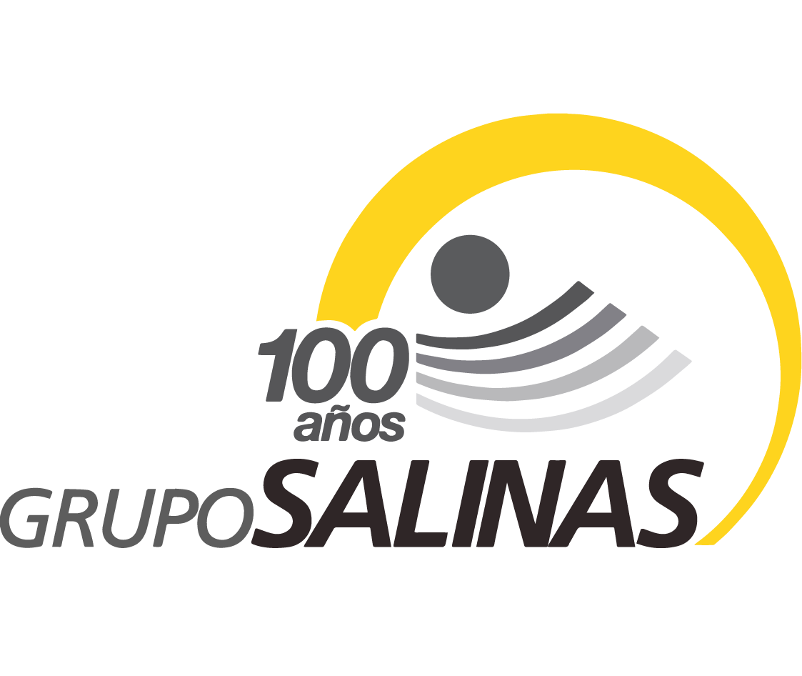 Grupo Salinas