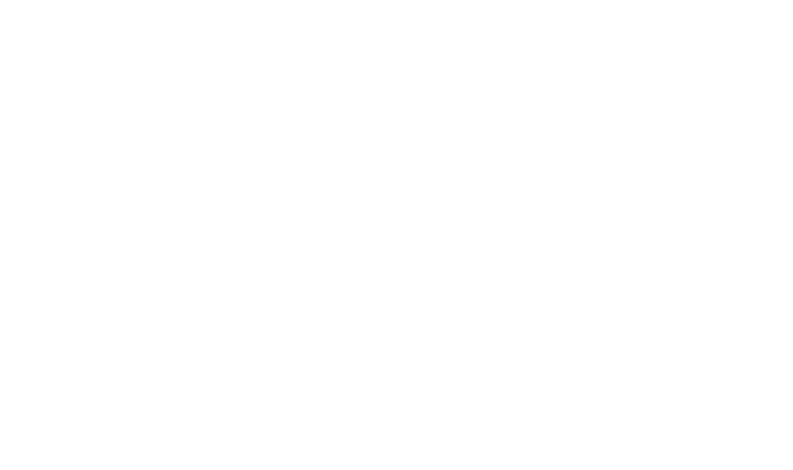 Salinas logo